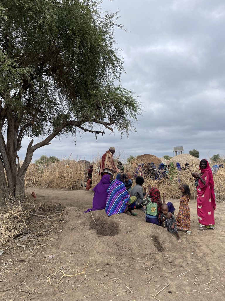 A group of people and children outside of a village of small traditional Afar domed homes
