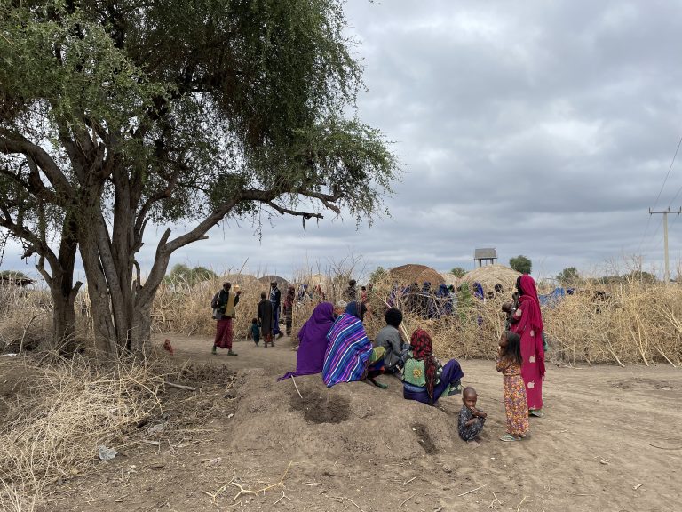 Community gathered under a tree in front of deboitas - Afar domed houses